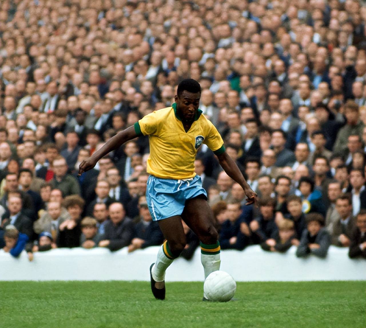 融入的是 融入的是